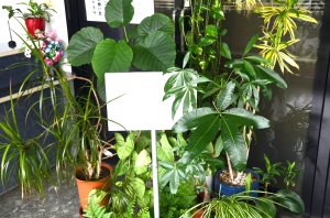 DSC_0120 - コピー.JPG